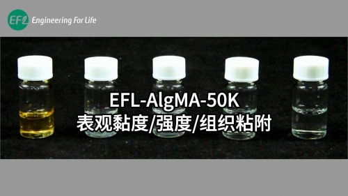 AlgMA-50K表觀黏度強(qiáng)度組織粘附